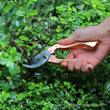 Tijeras profesionales para podar árboles de jardín